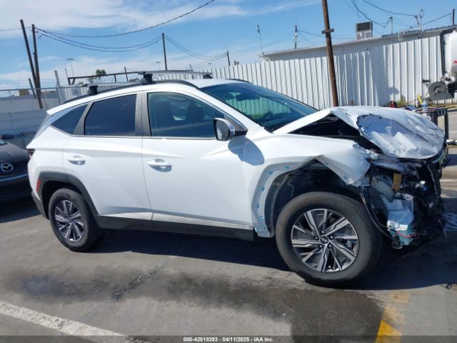 KM8JBCD13RU205493 Hyundai Tucson Hybrid Blue