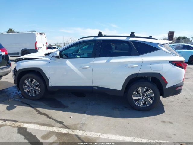 KM8JBCD13RU205493 Hyundai Tucson Hybrid Blue
