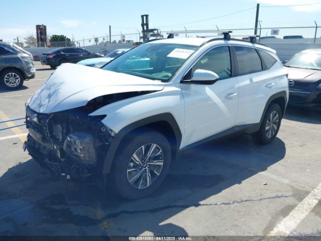 KM8JBCD13RU205493 Hyundai Tucson Hybrid Blue