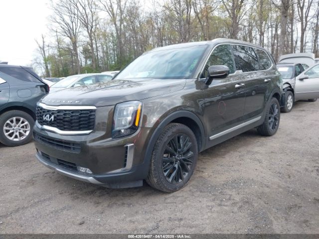 5XYP54HC4NG271392 KIA Telluride Sx