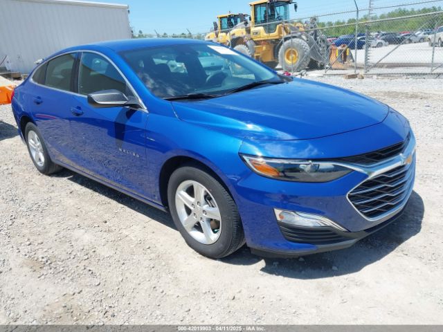 2023 CHEVROLET MALIBU 1G1ZB5ST4PF243655