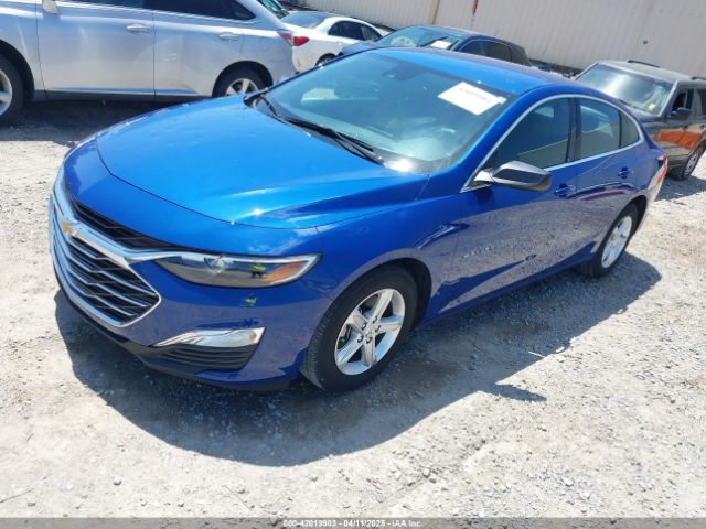2023 CHEVROLET MALIBU 1G1ZB5ST4PF243655 Photo 1
