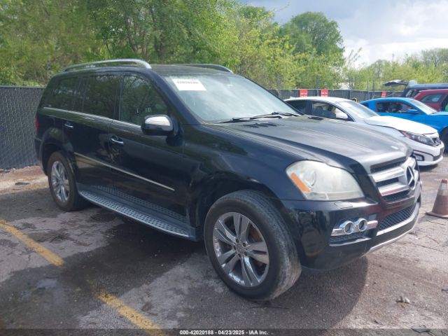 2010 MERCEDES-BENZ GL 450 4JGBF7BE6AA545586