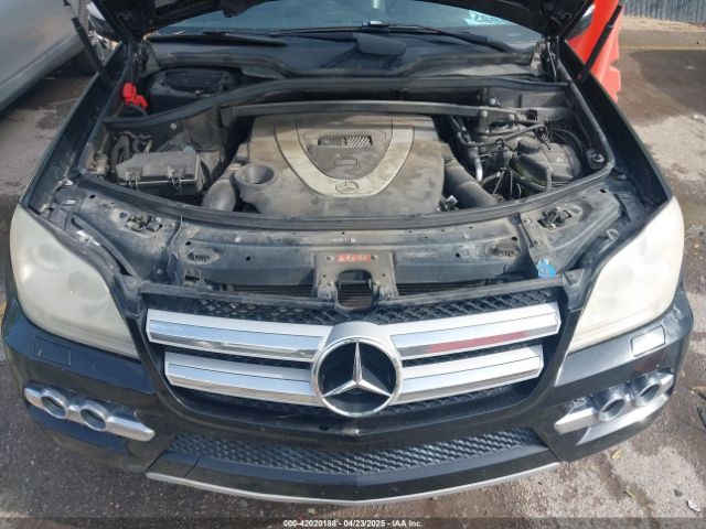 2010 MERCEDES-BENZ GL 450 4JGBF7BE6AA545586 Photo 9