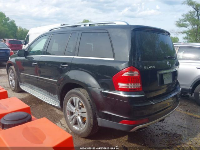 2010 MERCEDES-BENZ GL 450 4JGBF7BE6AA545586 Photo 2
