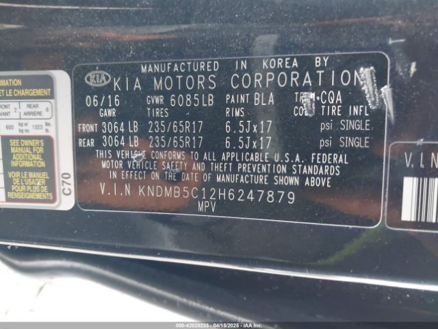 KNDMB5C12H6247879 KIA SEDONA LX
