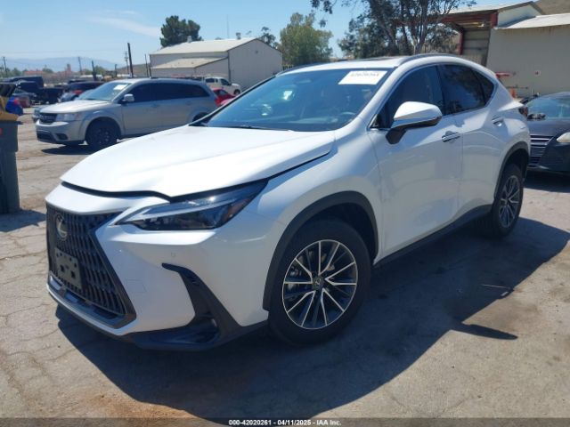 2025 LEXUS NX 250 JTJGDCAZ6S5024713 Photo 1