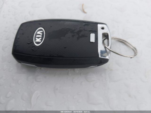 KNDMC5C17F6025686 KIA SEDONA EX