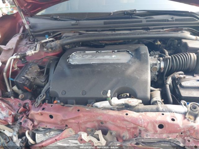 2006 ACURA TL 19UUA66216A003262 Photo 9
