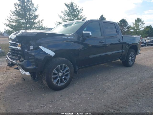 2024 CHEVROLET SILVERADO 1500 1GCPDKEK2RZ219964 Photo 1