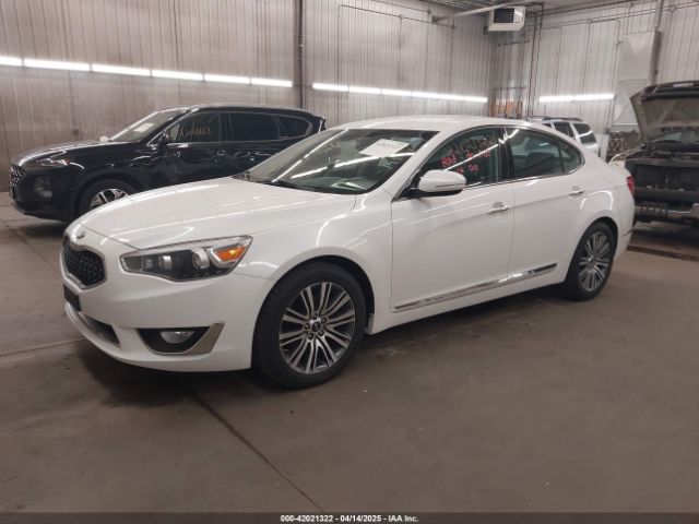KNALN4D78E5167016 KIA Cadenza Premium