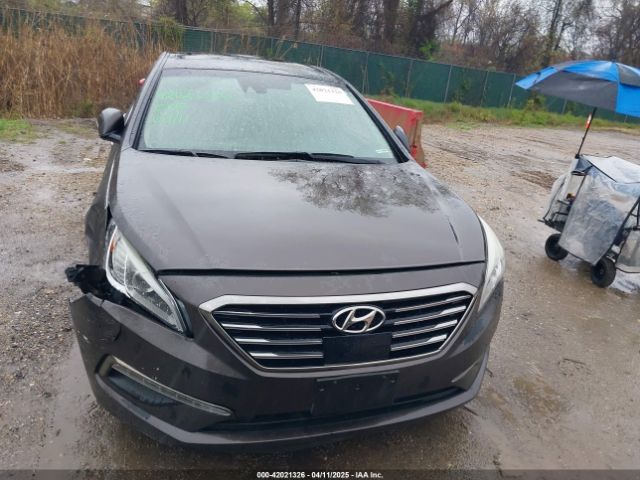 5NPE34AF1FH093419 Hyundai Sonata Limited
