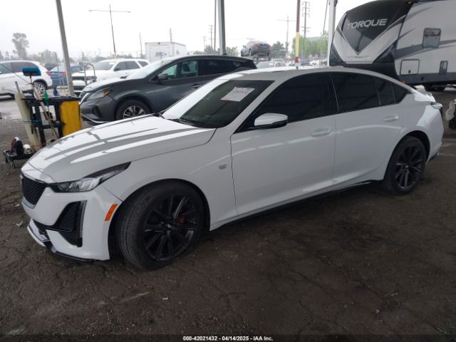 1G6DU5RK9M0117981 Cadillac Ct5 Sport