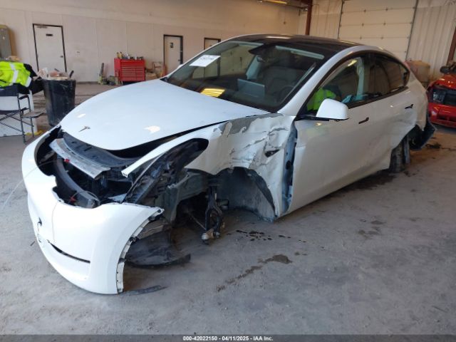 7SAYGDEE7RA294649 Tesla Model Y