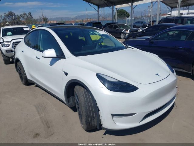 2023 TESLA MODEL Y 7SAYGDEE4PF752468 Photo 0