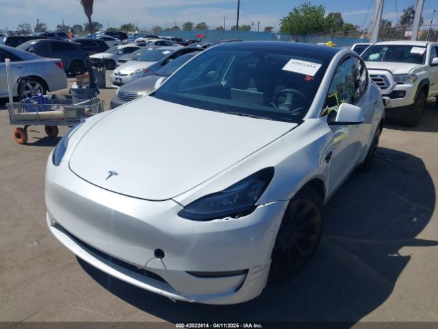 2023 TESLA MODEL Y 7SAYGDEE4PF752468 Photo 1