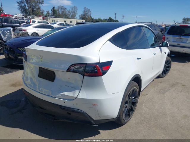 2023 TESLA MODEL Y 7SAYGDEE4PF752468 Photo 3