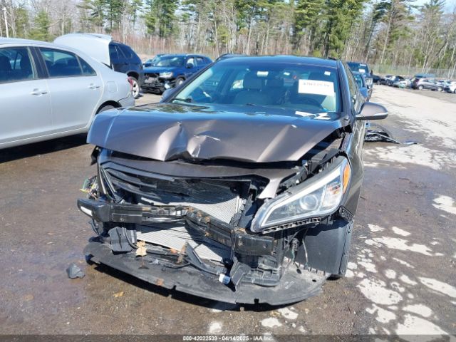 5NPE34AF0GH354301 Hyundai Sonata Sport