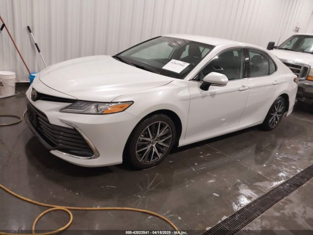 4T1F11AK3PU170901 Toyota CAMRY XLE