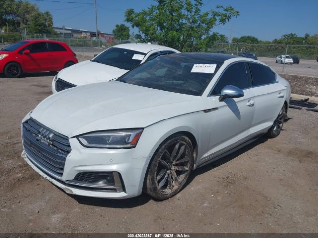 WAUC4CF56KA016896 Audi S5 3.0t Premium