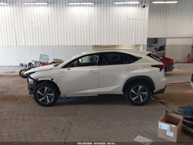JTJBARBZ8K2187692 Lexus NX 300