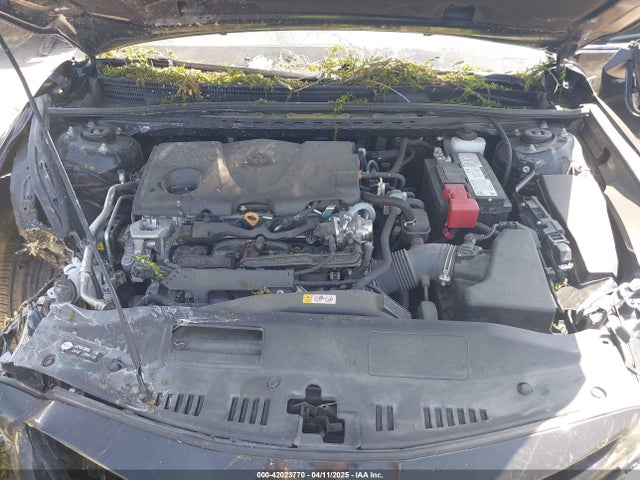 4T1G11AK9PU785442 Toyota CAMRY SE