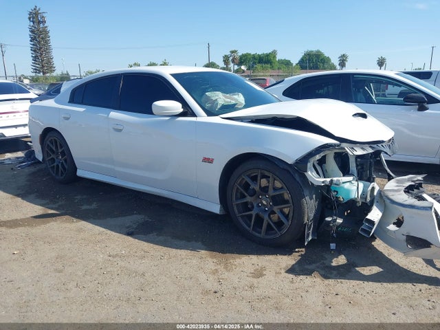 Dodge Charger 2019 2C3CDXGJ9KH564208 Image 14