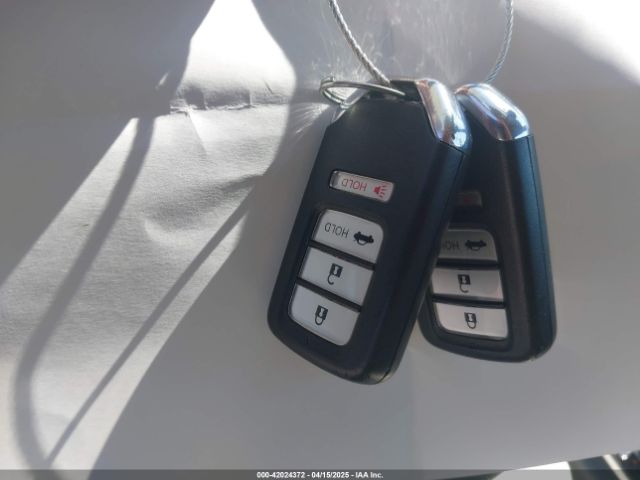 1HGCV1F14LA081881 Honda ACCORD LX