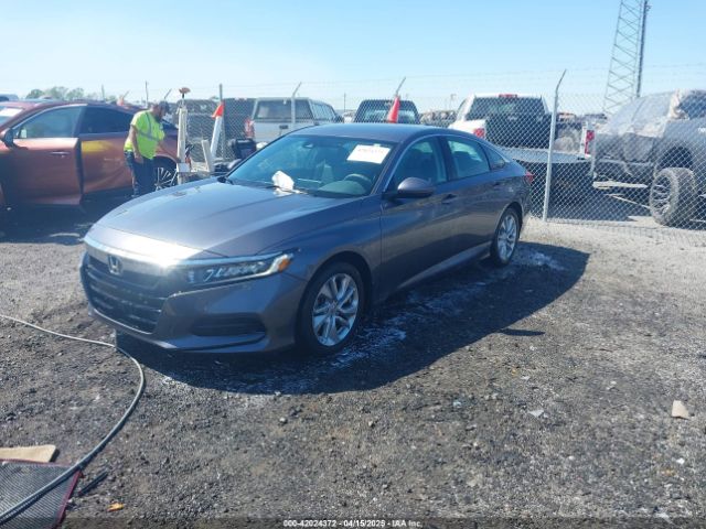 1HGCV1F14LA081881 Honda ACCORD LX