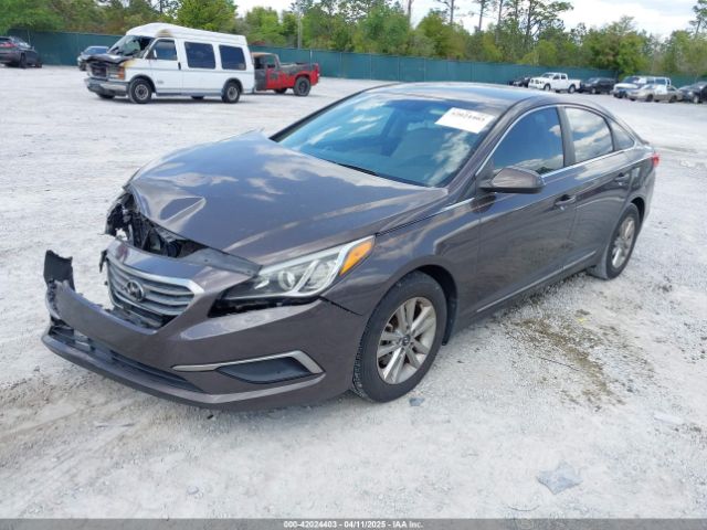 5NPE24AFXGH433302 Hyundai SONATA SE