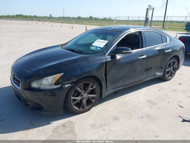 1N4AA5AP7EC466451 Nissan Maxima 3.5 Sv