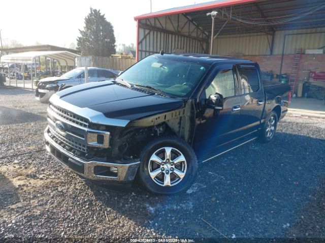 1FTEW1EPXLFC21445 Ford F-150 Xlt