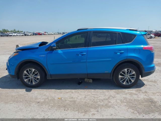 JTMRJREVXHD112743 Toyota Rav4 Hybrid Xle
