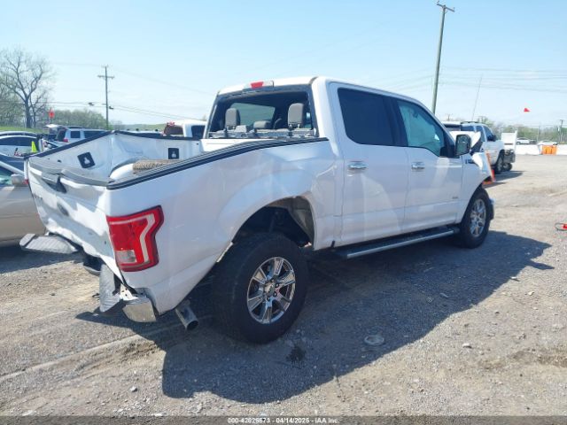 1FTEW1CP5GKF39313 Ford F-150 Xlt