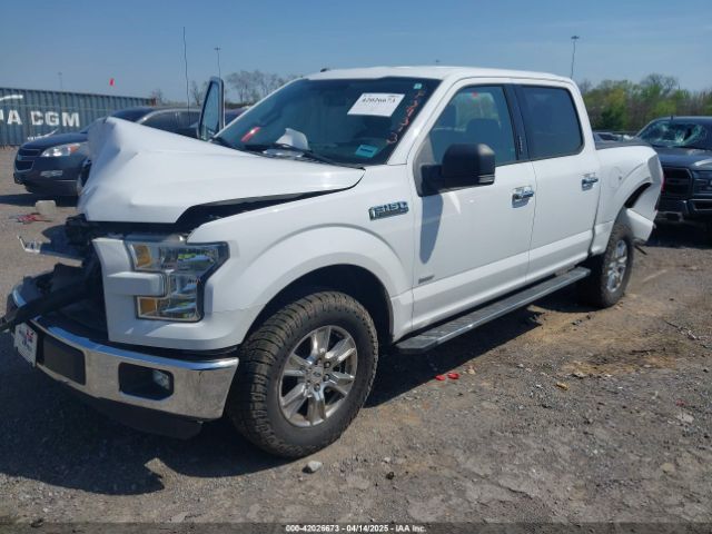 1FTEW1CP5GKF39313 Ford F-150 Xlt