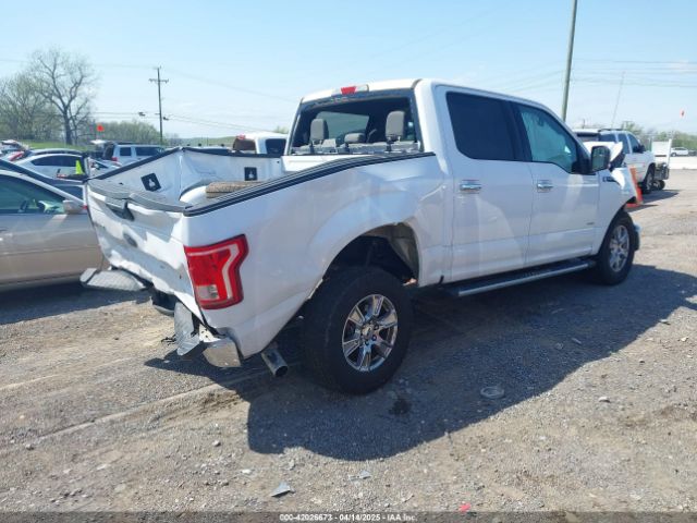 1FTEW1CP5GKF39313 Ford F-150 Xlt