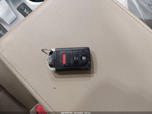 5J8TB4H31EL013702 Acura RDX