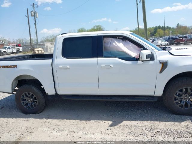 1FTEW1E84PFD20017 Ford F-150 Tremor