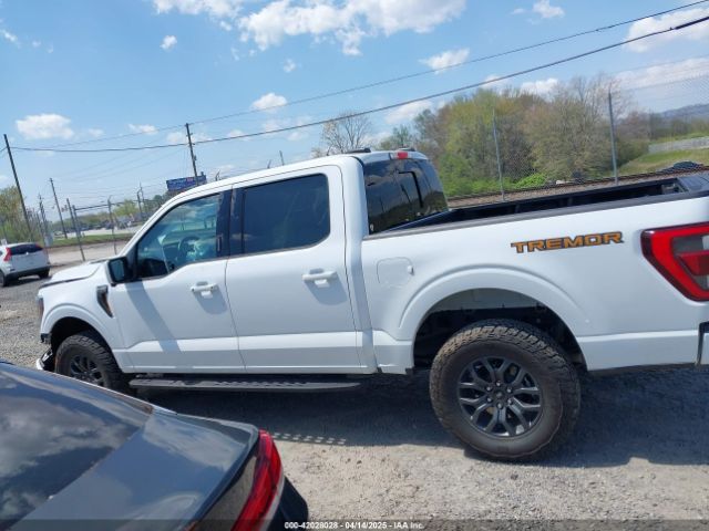 1FTEW1E84PFD20017 Ford F-150 Tremor