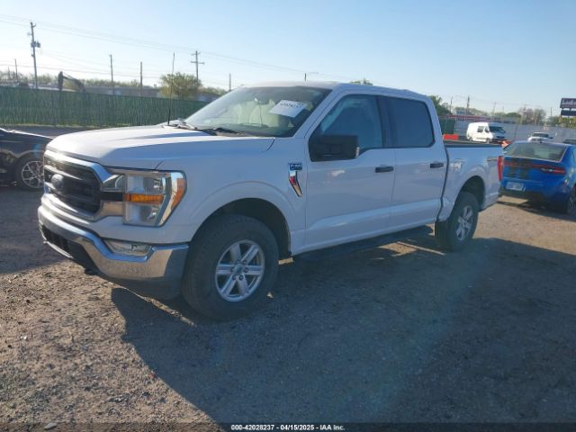 1FTEW1EP5MKE25613 Ford F-150 Xlt