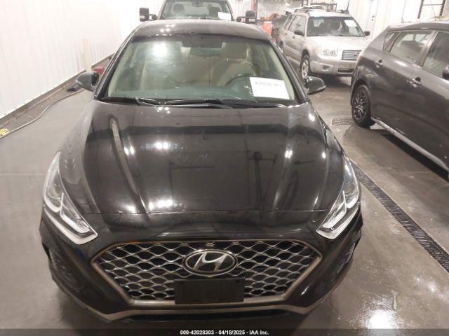 5NPE34AF1KH817247 Hyundai SONATA SEL