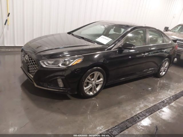 5NPE34AF1KH817247 Hyundai SONATA SEL