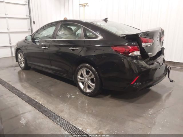 5NPE34AF1KH817247 Hyundai SONATA SEL