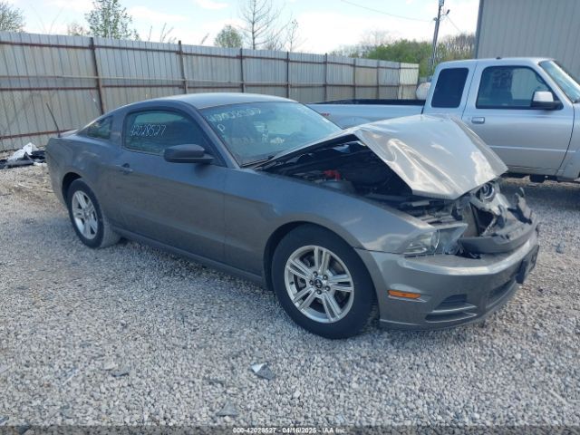 2013 FORD MUSTANG 1ZVBP8AM1D5261762