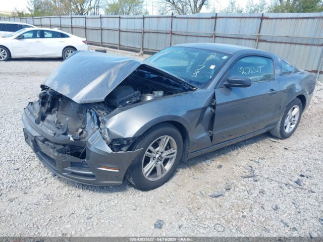 2013 FORD MUSTANG 1ZVBP8AM1D5261762 Photo 1