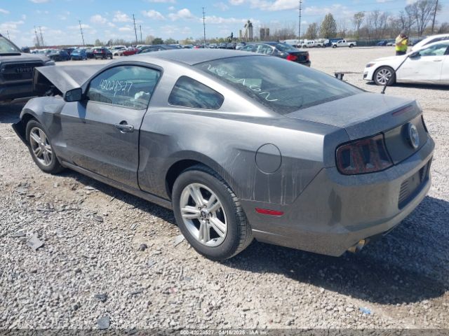 2013 FORD MUSTANG 1ZVBP8AM1D5261762 Photo 2