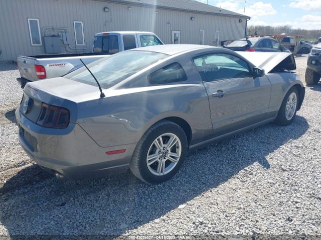 2013 FORD MUSTANG 1ZVBP8AM1D5261762 Photo 3