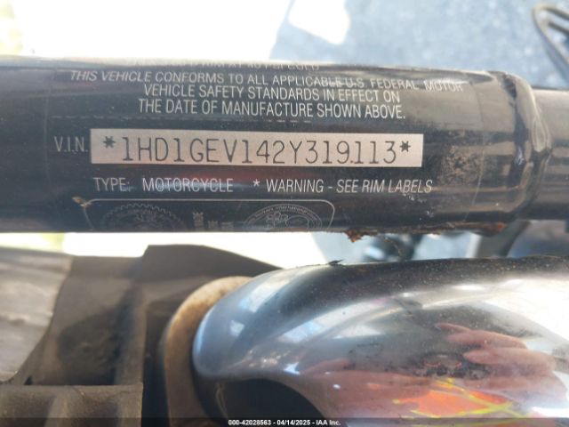 2002 HARLEY-DAVIDSON FXDWG 1HD1GEV142Y319113 Photo 9