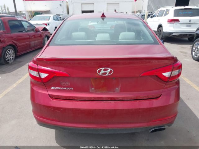 5NPE24AF4GH399504 Hyundai Sonata