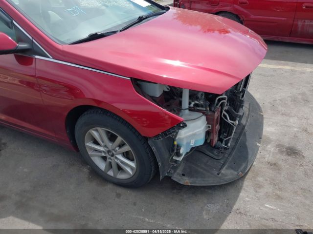 5NPE24AF4GH399504 Hyundai Sonata